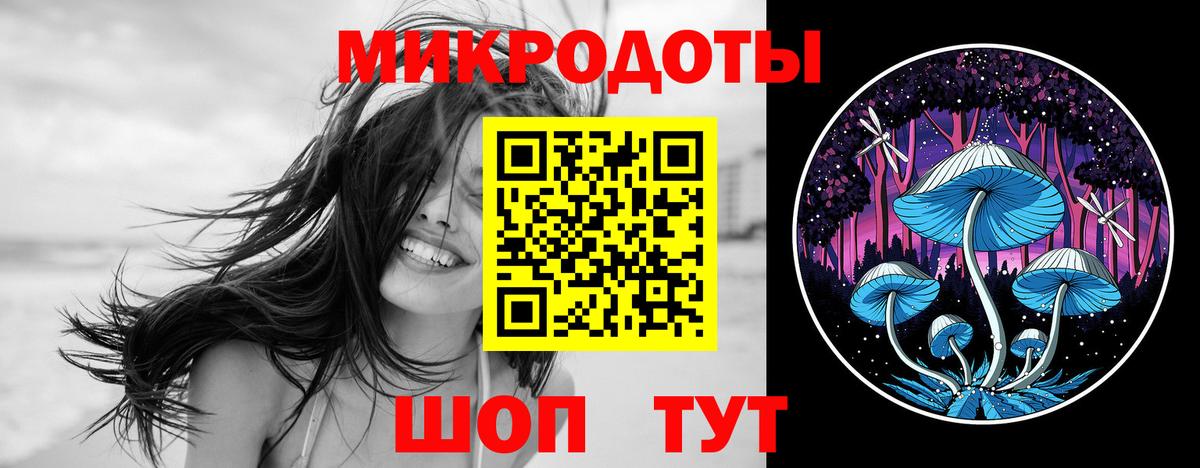 Псилоцибиновые грибы прущие грибы  Вход с VPN  Гатчина  где можно купить наркотик  Псилоцибиновые грибы ЛСД 